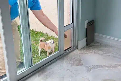 Can You Install a Dog Door in Double Glazed Glass?