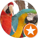 Cynthia Smith profile picture